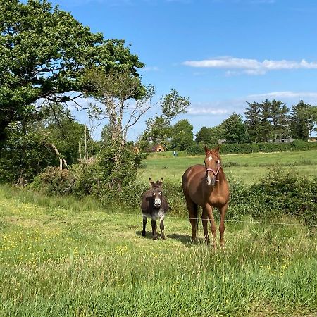 Hotel Farmyard Lane Glamping Killarney Exterior foto