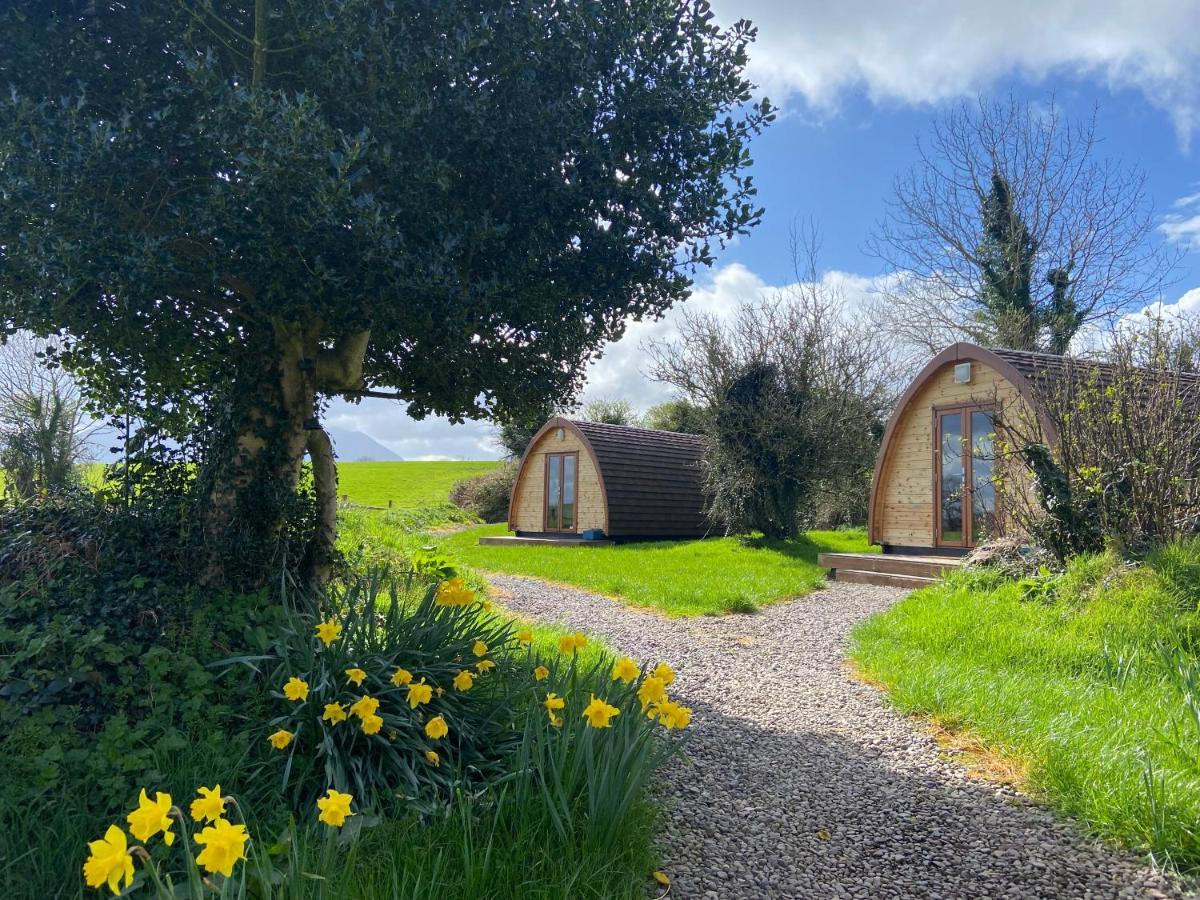 Hotel Farmyard Lane Glamping Killarney Exterior foto