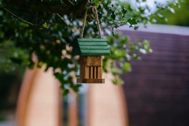 Hotel Farmyard Lane Glamping Killarney Exterior foto